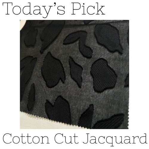 【Today's Pick】Cotton Cut Jacquard【2024/01/26】