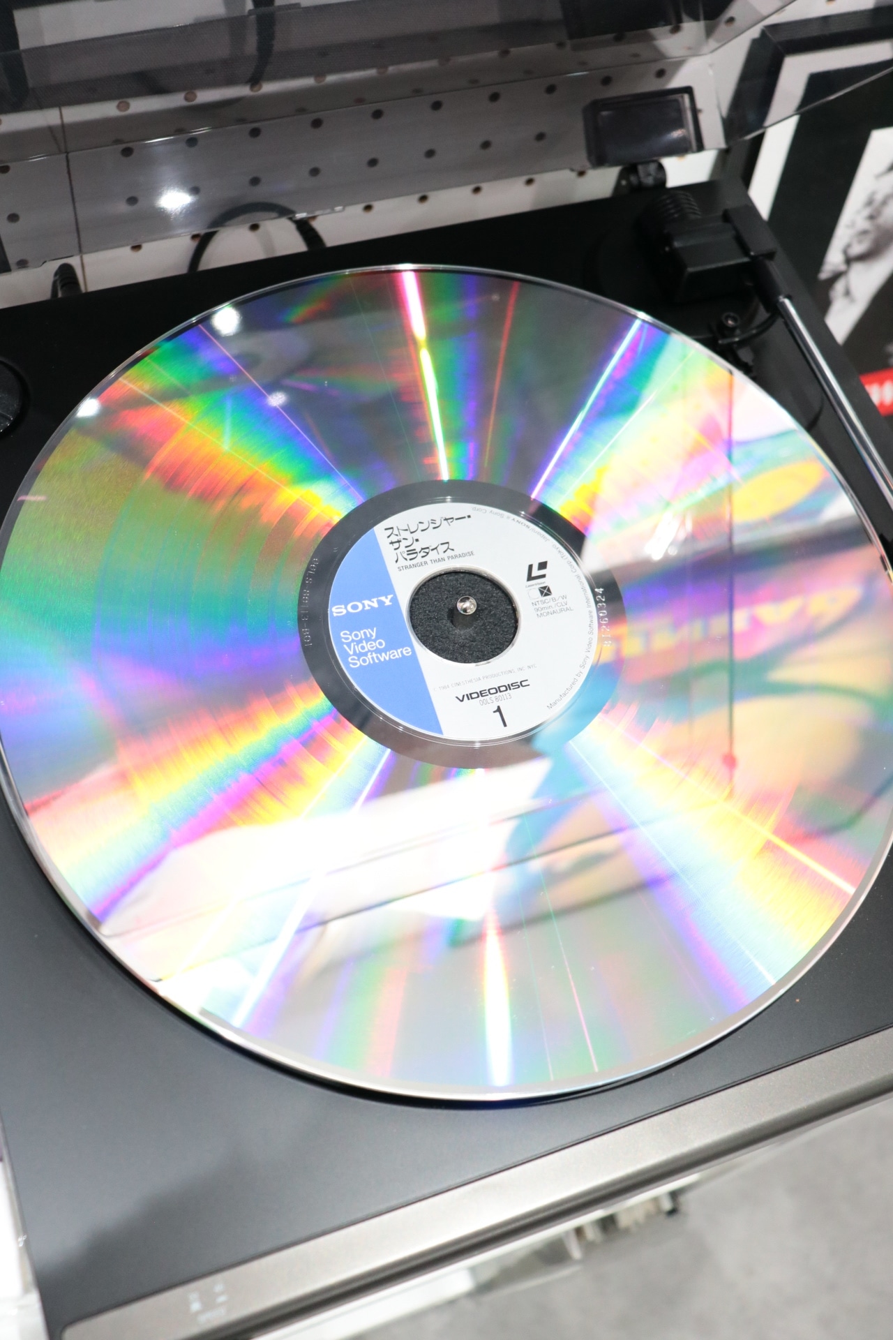 Stranger Than Paradise 1984 Japanese LD with OBI