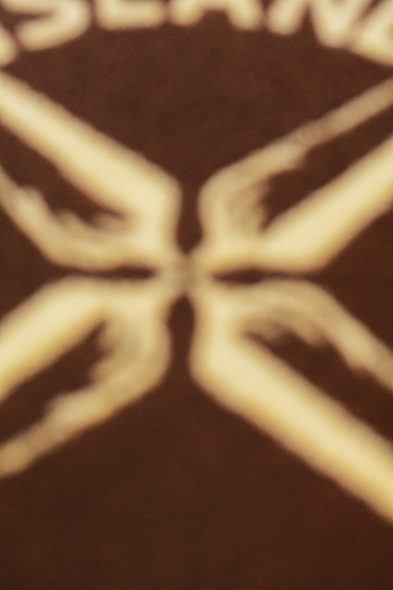 SMOKE ISLAND INTERIOR MAT [BROWNxBEIJE]