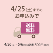 No.3 カーネーションいちごホイップ