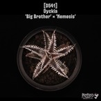 【送料無料】Dyckia 'Big Brother' × 'Nemesis'〔ディッキア〕現品発送D541