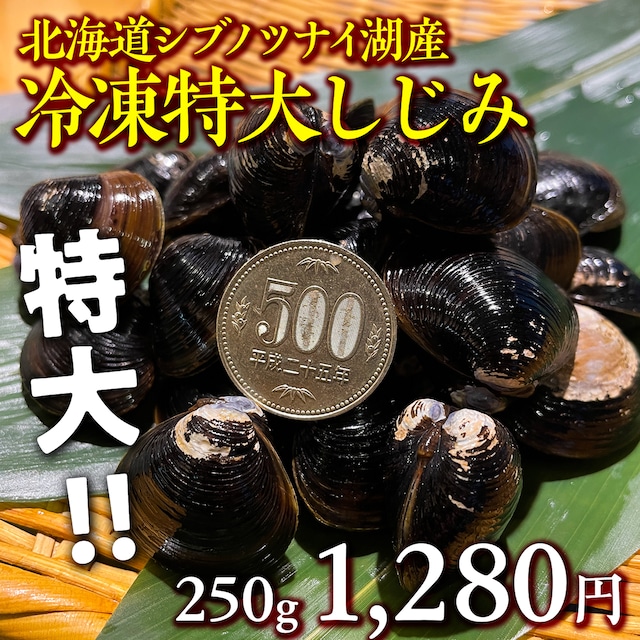 (0717)【特大サイズ】栄養たっぷり！北海道シブノツナイ湖の特大しじみ