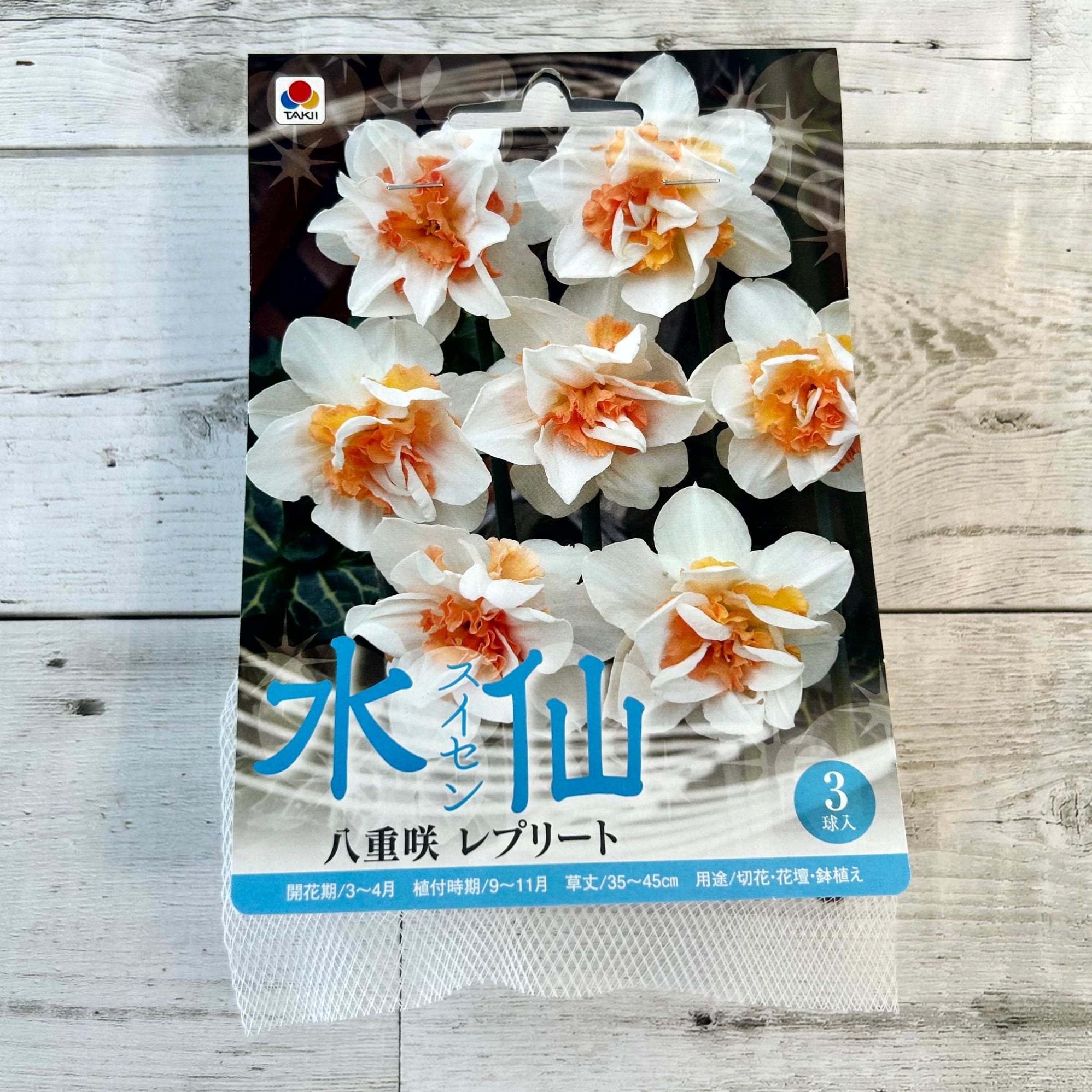 球根 八重咲き 水仙 【レプリート】tk [サイズ: 3球入り] | フラワー