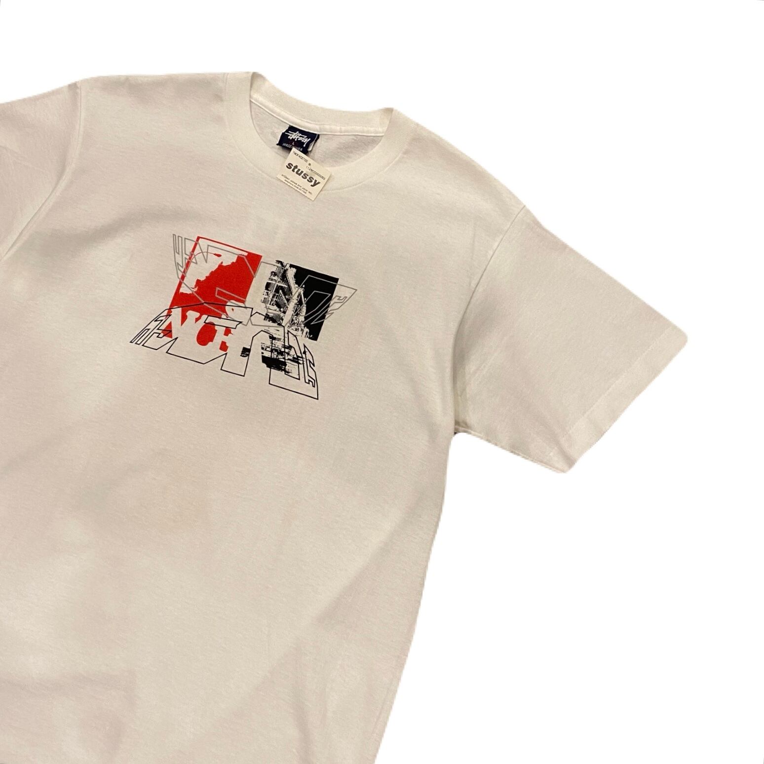 STUSSY デッドストックもの （L 90