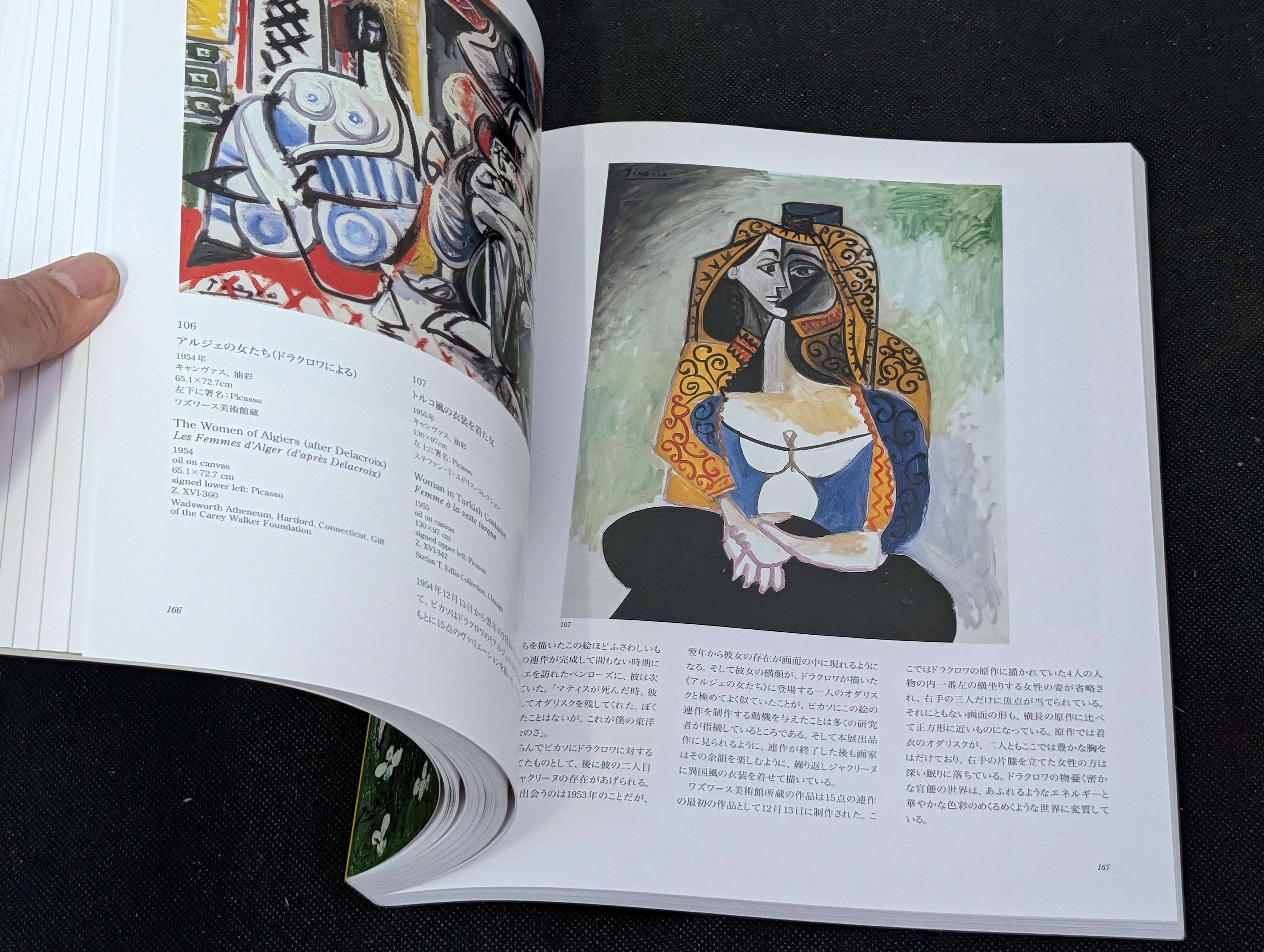 ピカソ展 PABLO PICASSO 図録 1998年┃古本┃ | 古本とうつわとアート