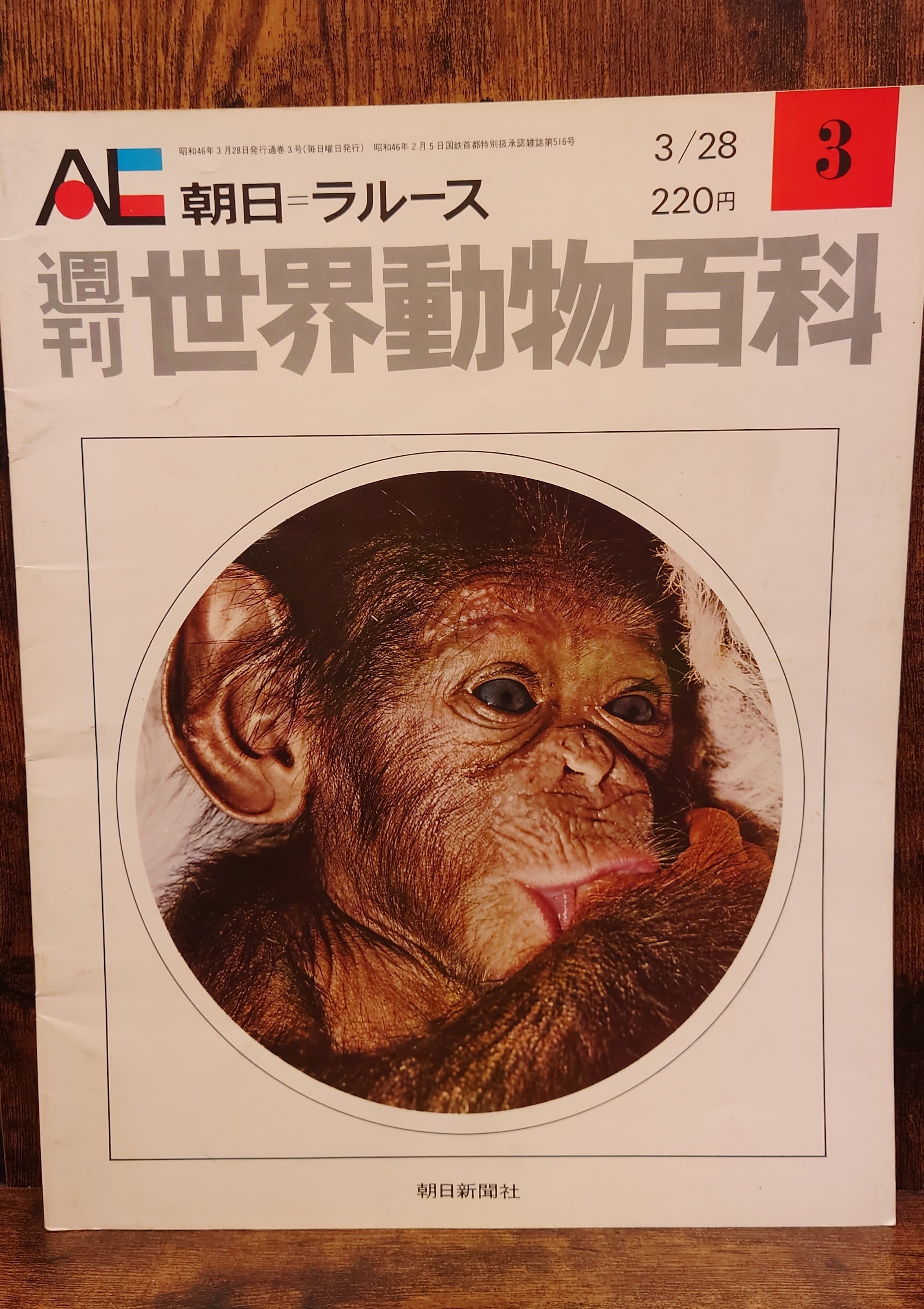 社会生物学の勝利 ～批判者たちはどこで誤ったか～ | 弥生坂 緑の本棚