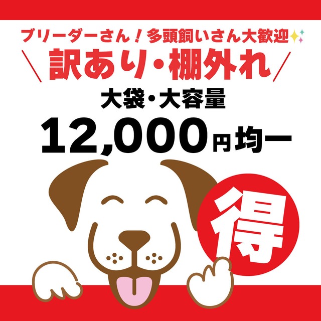 【ゲリラ販売】訳あり・棚外れ商品12,000円均一