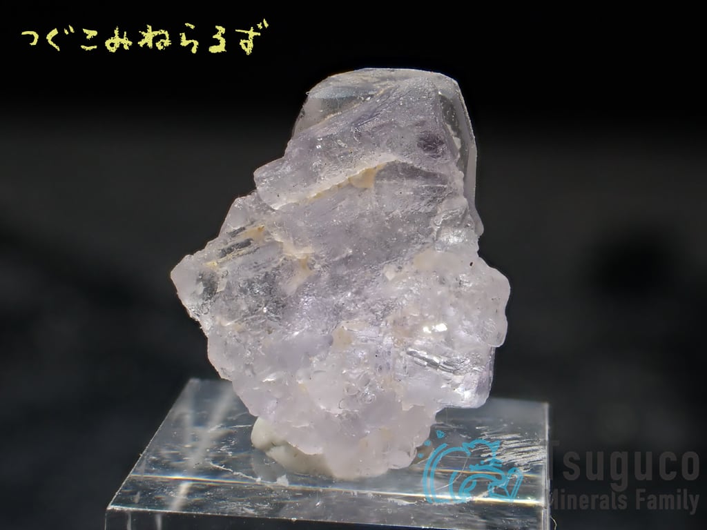 フローライト 蛍石 Fluorite スペイン TM-0049【レタパライト可】