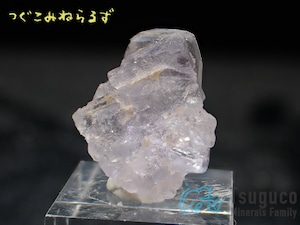 フローライト 蛍石 Fluorite スペイン TM-0049【レタパライト可】