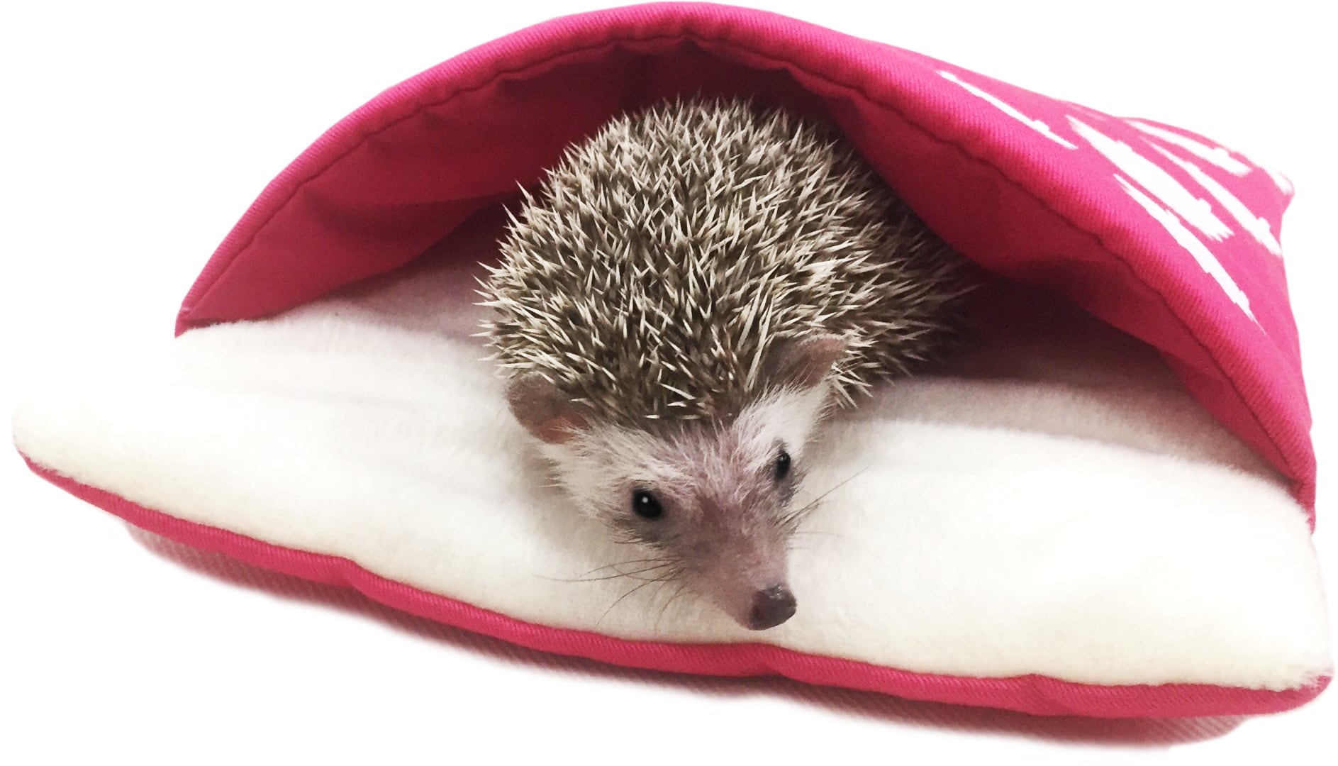 【小動物用品】もぐって寝ぶくろ ピンク/ブラック