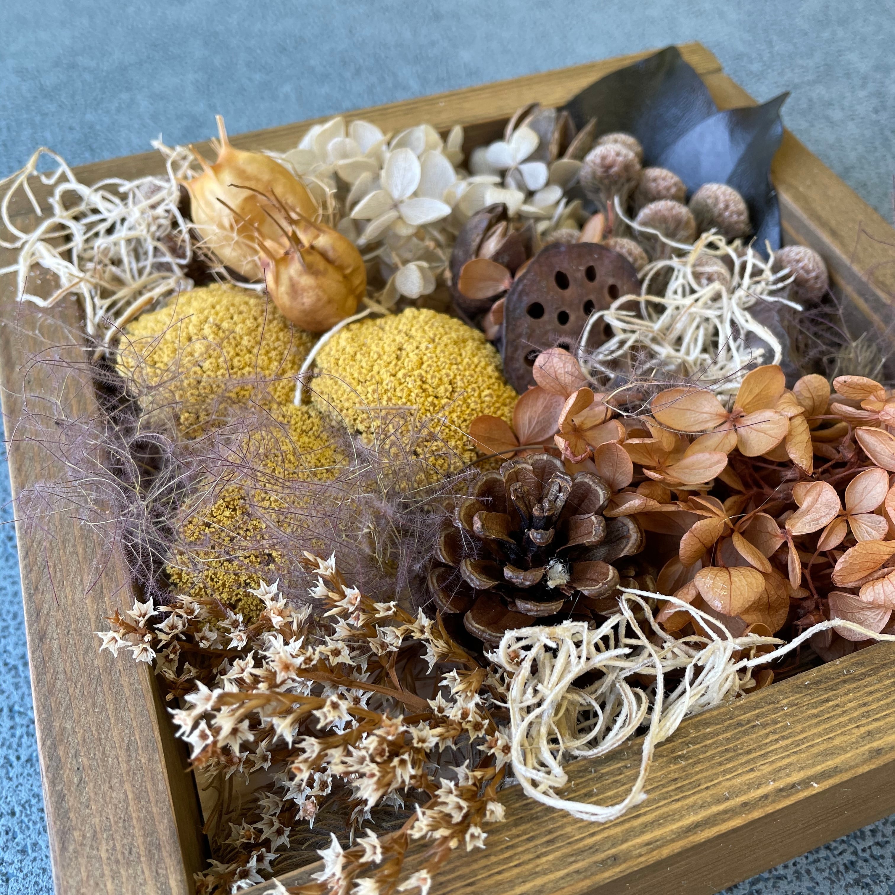❁Botanical collection❁ドライフラワーの詰め合わせbox【30719