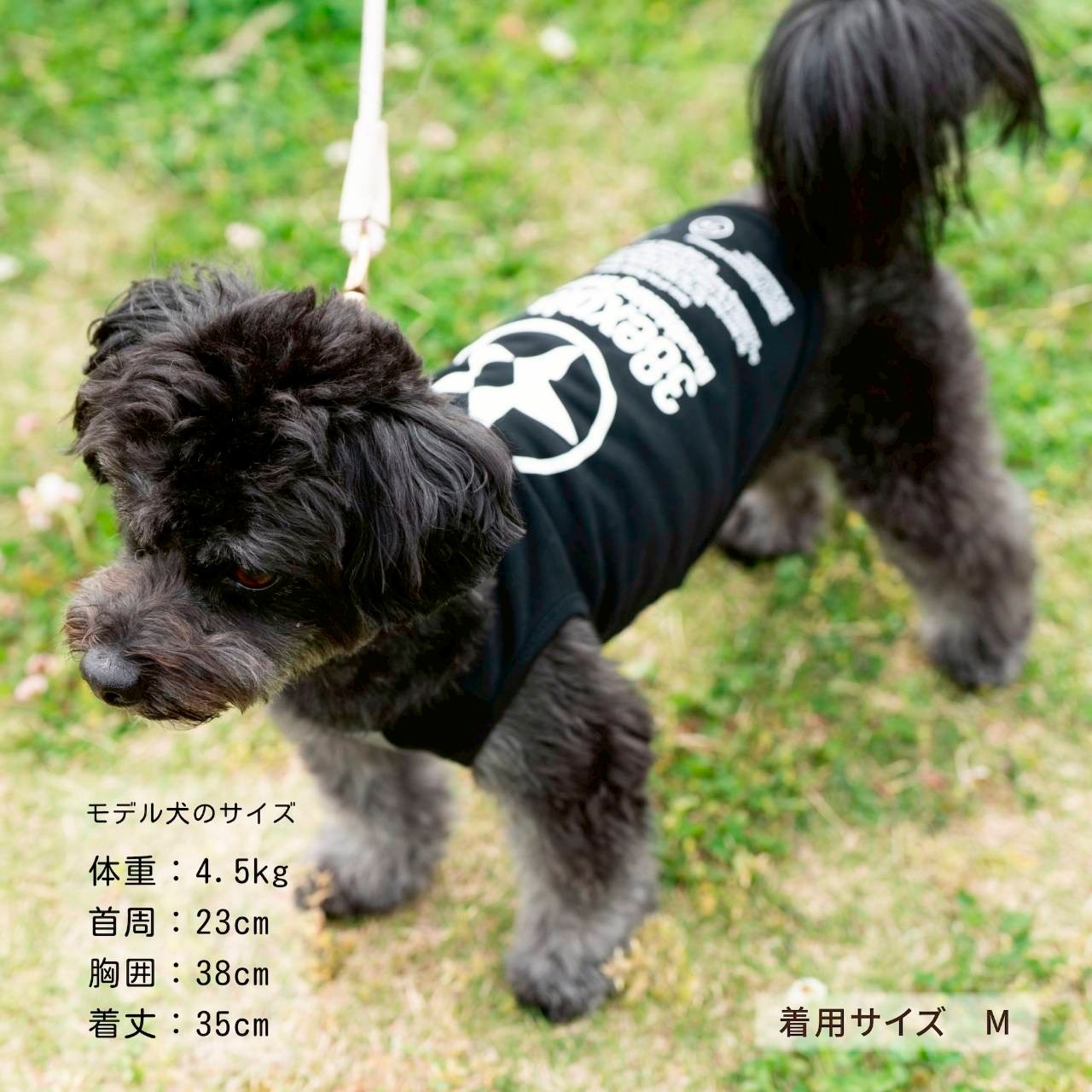 38DOGT 2026 / Navy
