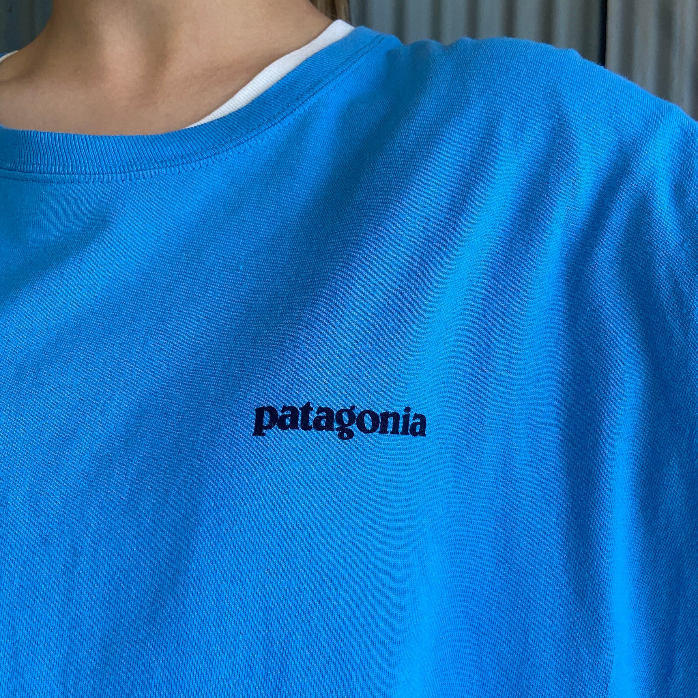 patagonia パタゴニア 胸ロゴ バックプリント ロングTシャツ ロンT
