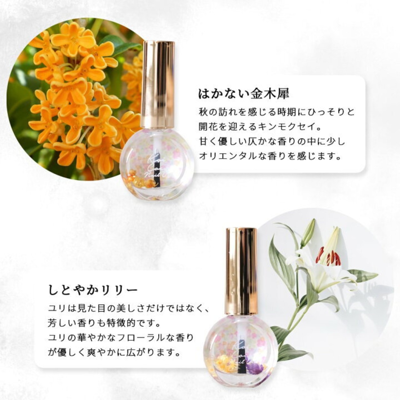 【ネイルケア】Koicoco アロマ ネイルオイル ドライフラワー入り