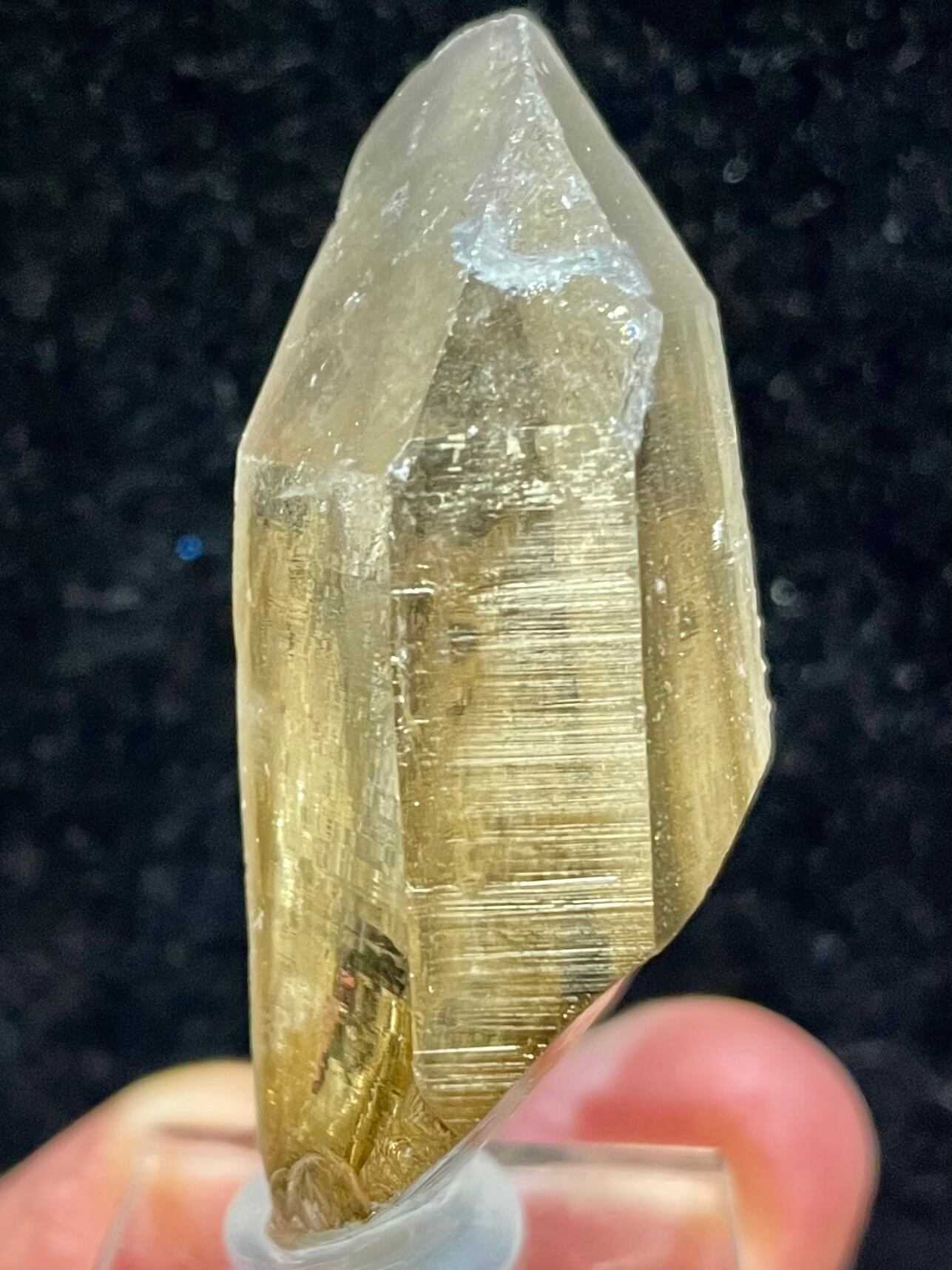 3) ロシアン・レムリアン