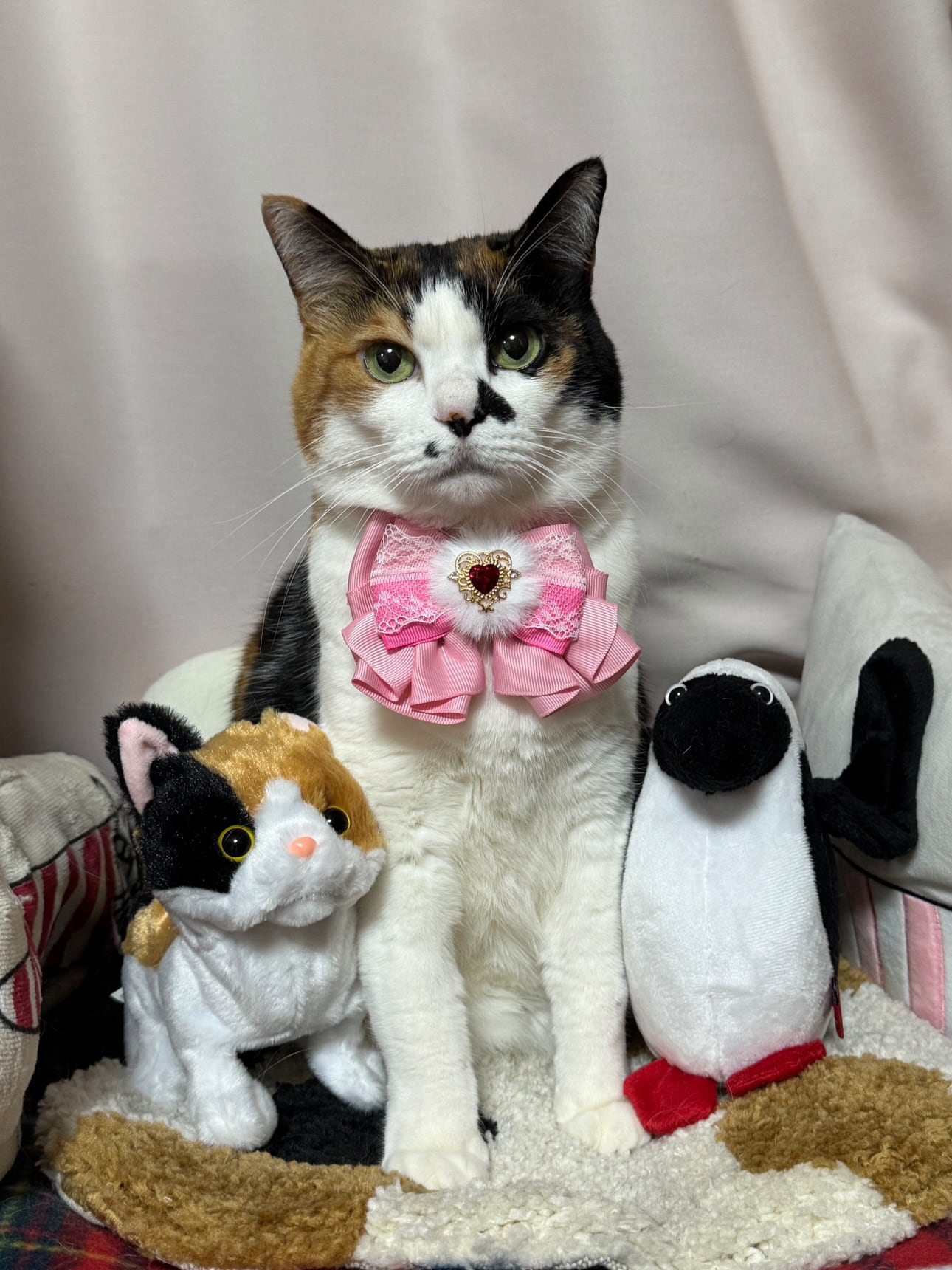 ハートチョーカー】レギュラーサイズ 犬猫チョーカー リボン 犬用 猫用