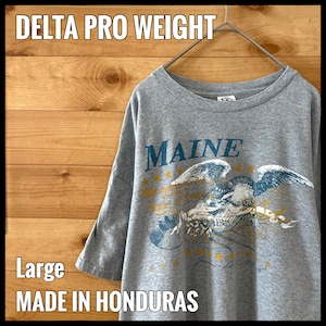 【DELTA PRO WEIGHT】MAINE メイン州 プリント Tシャツ グレー L US古着