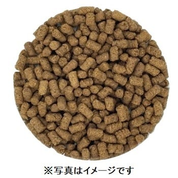 フェレットセレクションプロ パフォーマンス 1kg | cocoa