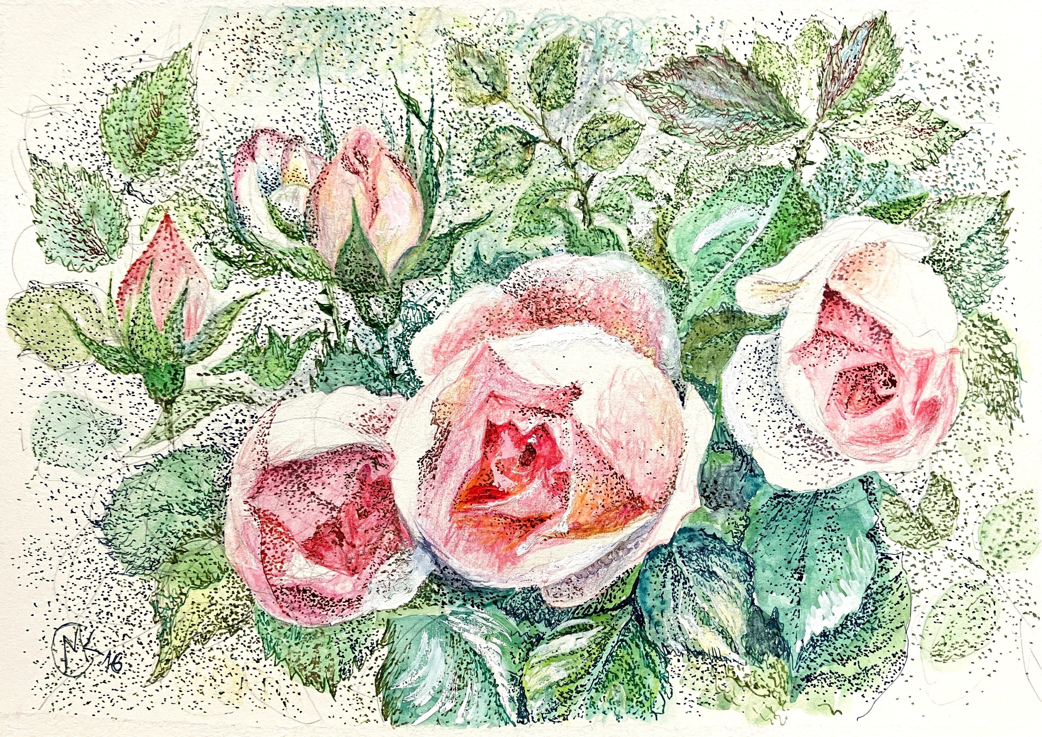 ピンクのバラ | Rosa Rosen