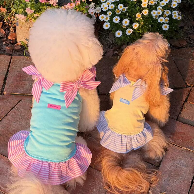 カラーショルダーリボンのワンピース 犬服