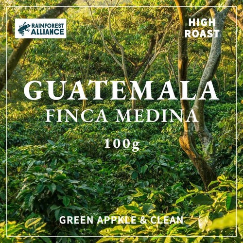 GUATEMALA｜FINCA MEDINA｜中煎り｜コーヒー豆