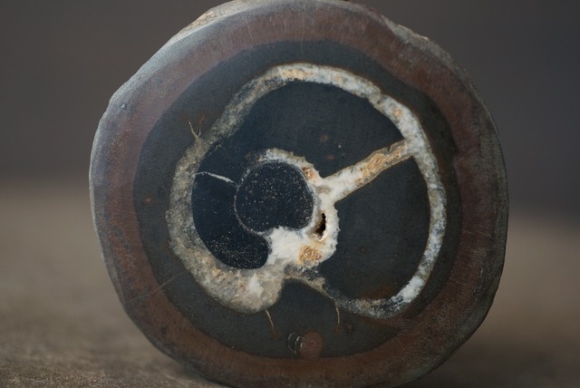 セプタリアン Septarian 1692