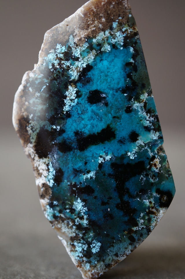 ジャワ島産ブルーペトリファイドウッド Blue Opalized Petrified Wood 2274