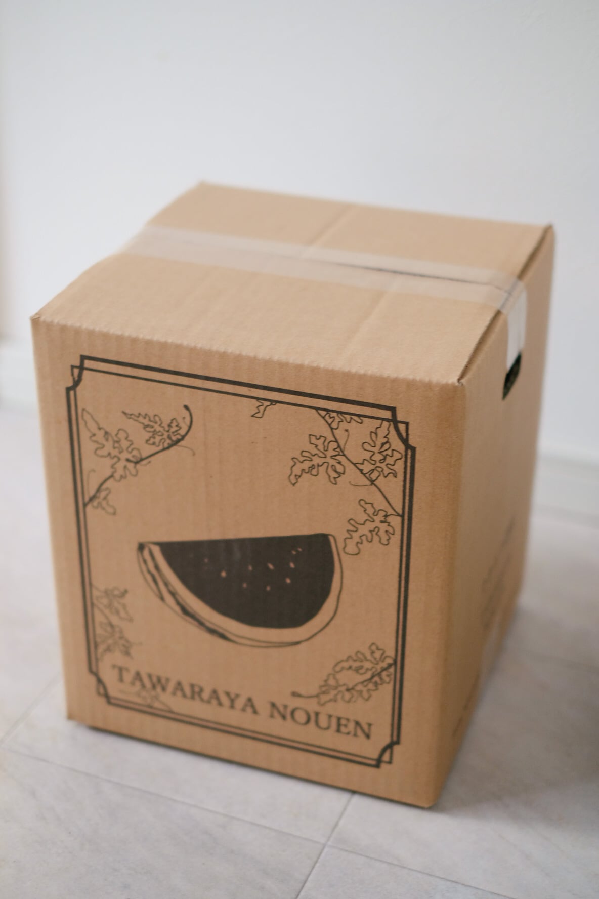 大玉すいか 秀品 2Lサイズ【1玉】スイカ 波田産 | たわらや農園