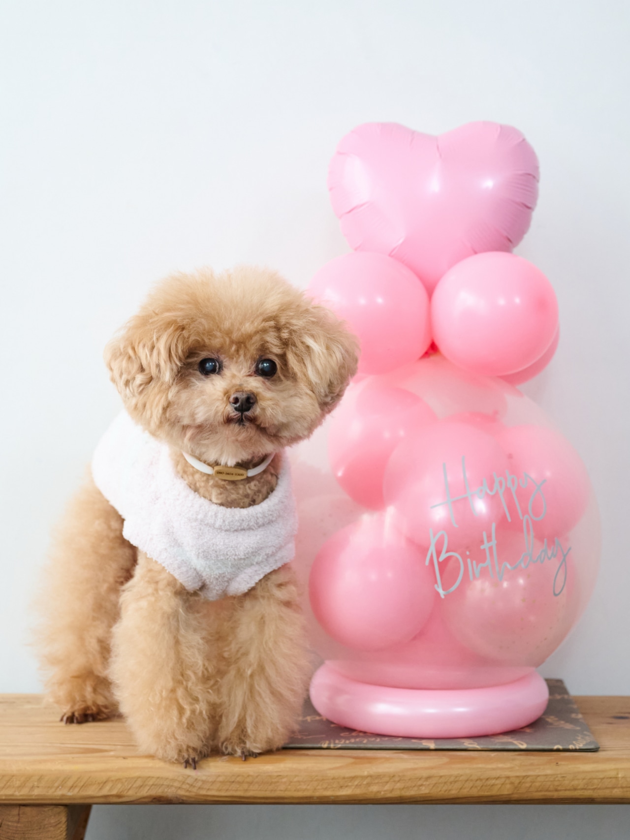 バルーンラッピング with GIFT ハリネズミパープル