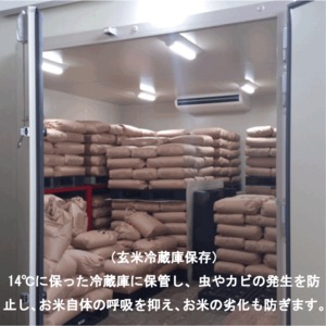 有機JAS栽培米　8kg（2k×4個）【冷蔵便】