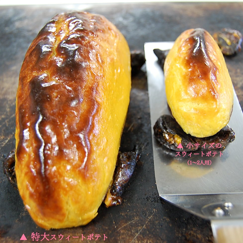 特大スウィートポテト（ギフト箱入り） | スウィートポテト専門店