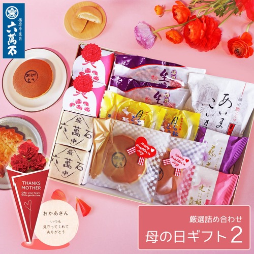 母の日ギフト 2026 『母の日詰め合わせ 2』 8種 詰め合わせ #和菓子#お取り寄せ#土産#プレゼント#進物