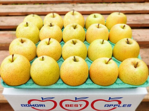 ☆ りんご　さま　専用　☆ 林檎さま専用 りんごさま専用 専用】りんご様 rinkaさま 専用 rinka