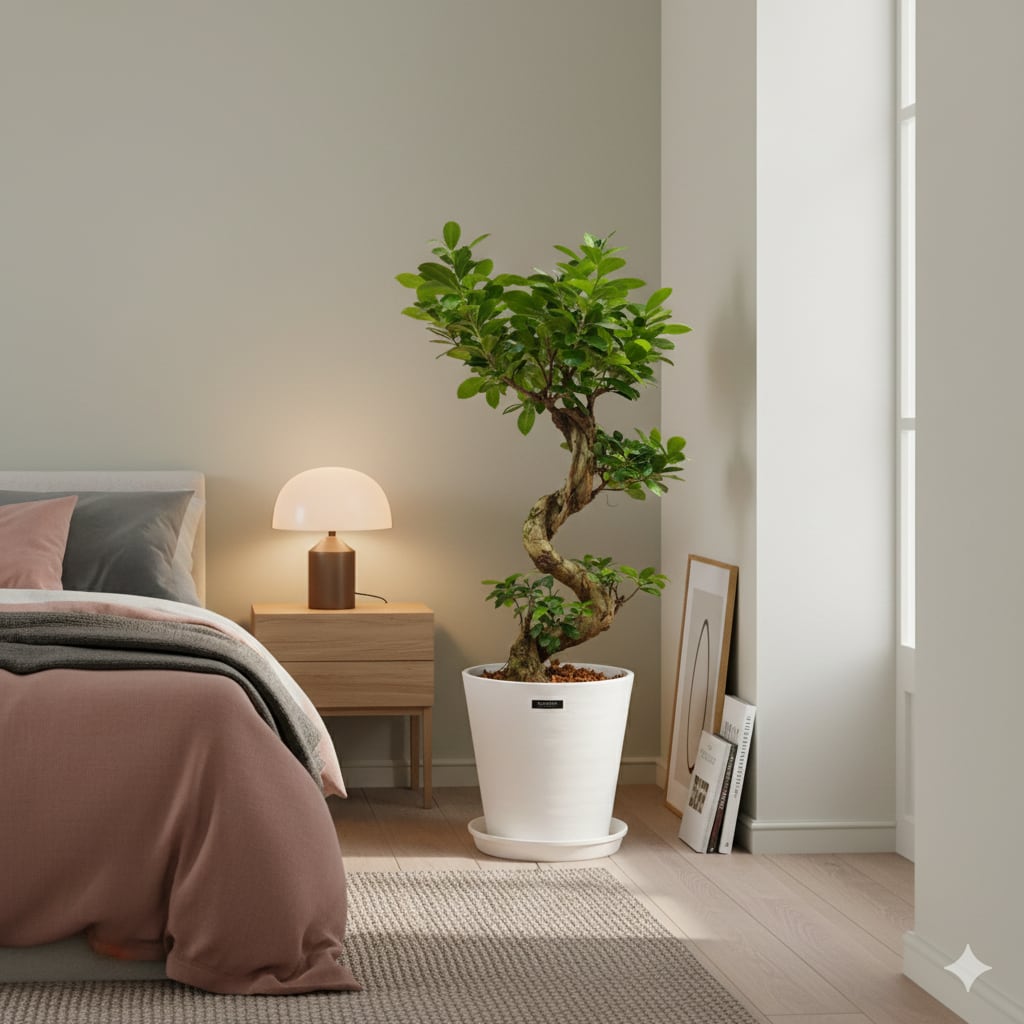 ガジュマル27 インテリアグリーン ガジュマル F370-PU513B/47L if homeの通販｜東京