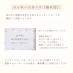 カーネーションのフラワーバスケット 【ハニーアプリコット】
