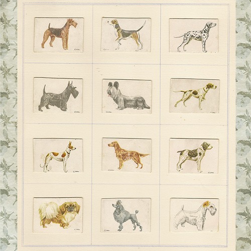 アンティーク犬のコレクション　ミニカードB