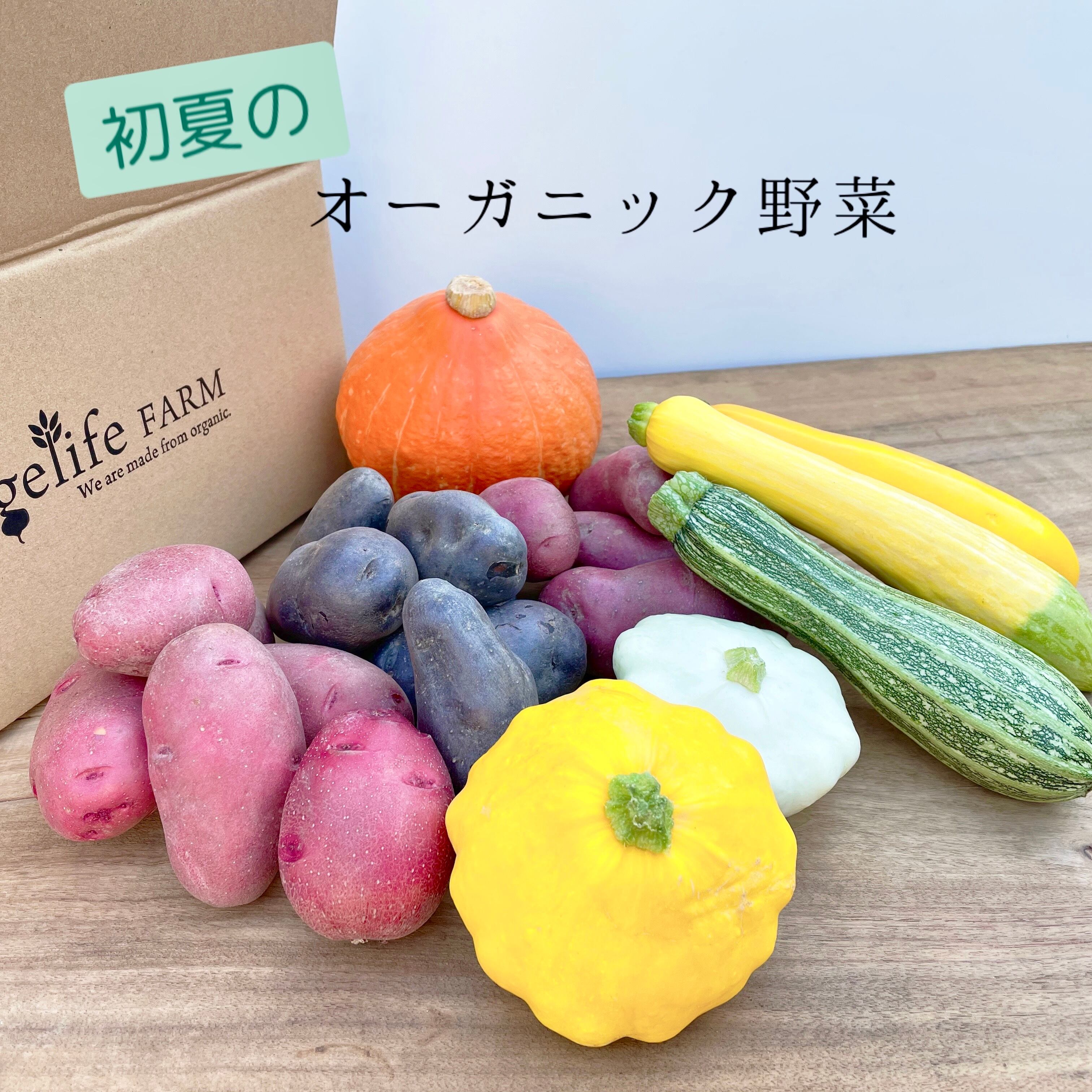 初夏のオーガニック野菜セット 送料無料 Vegelifefarm ベジライフファーム