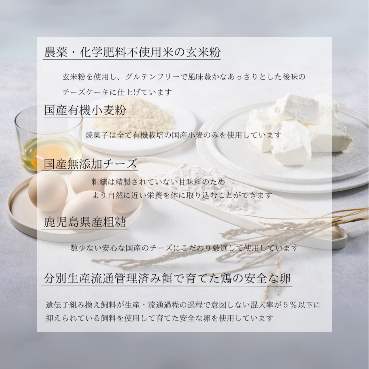 【送料半額お歳暮キャンペーン】レイヤーチーズケーキ "リヴァイブフルーツ" 6個ギフト