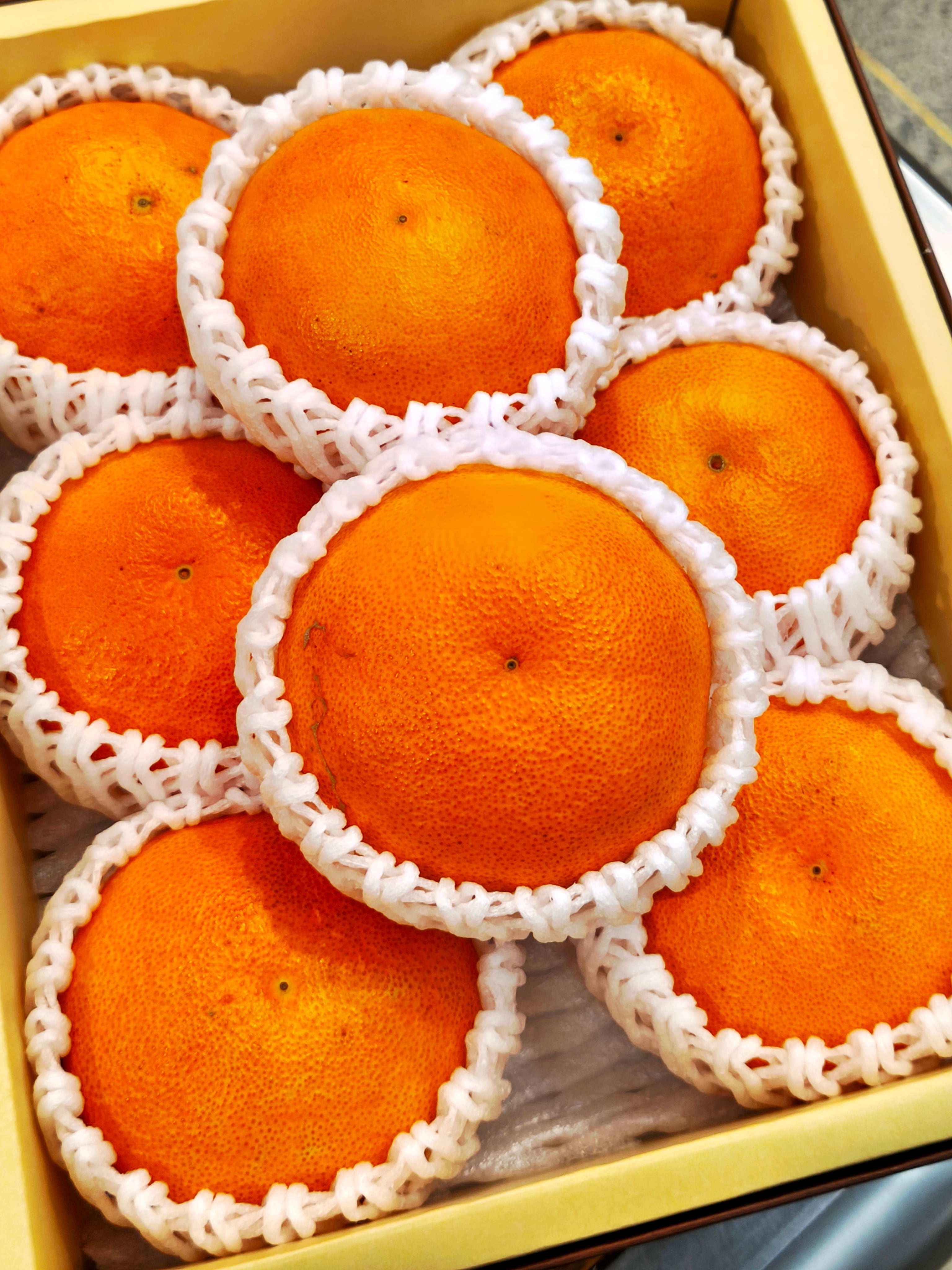 甘み抜群の甘平がやってきた！2Lサイズ8個入りです | フルーツ王が