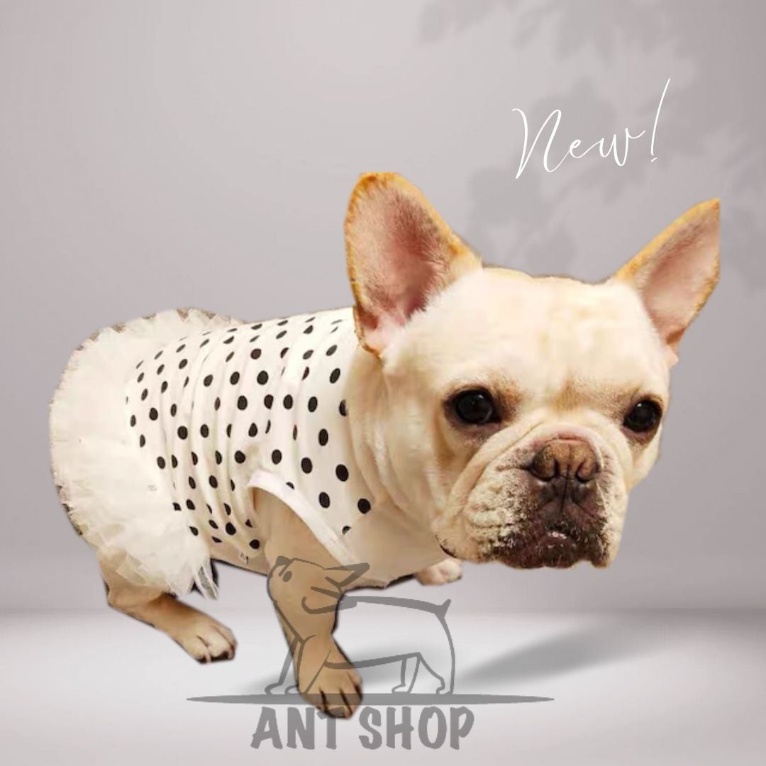 bed412fca0f23101e9e41c961ce501