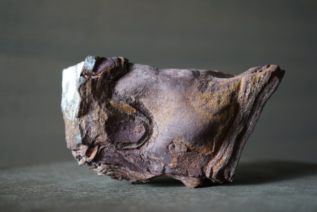 クムル産火山砕屑岩 Volcano-sedimentary Rock 1125