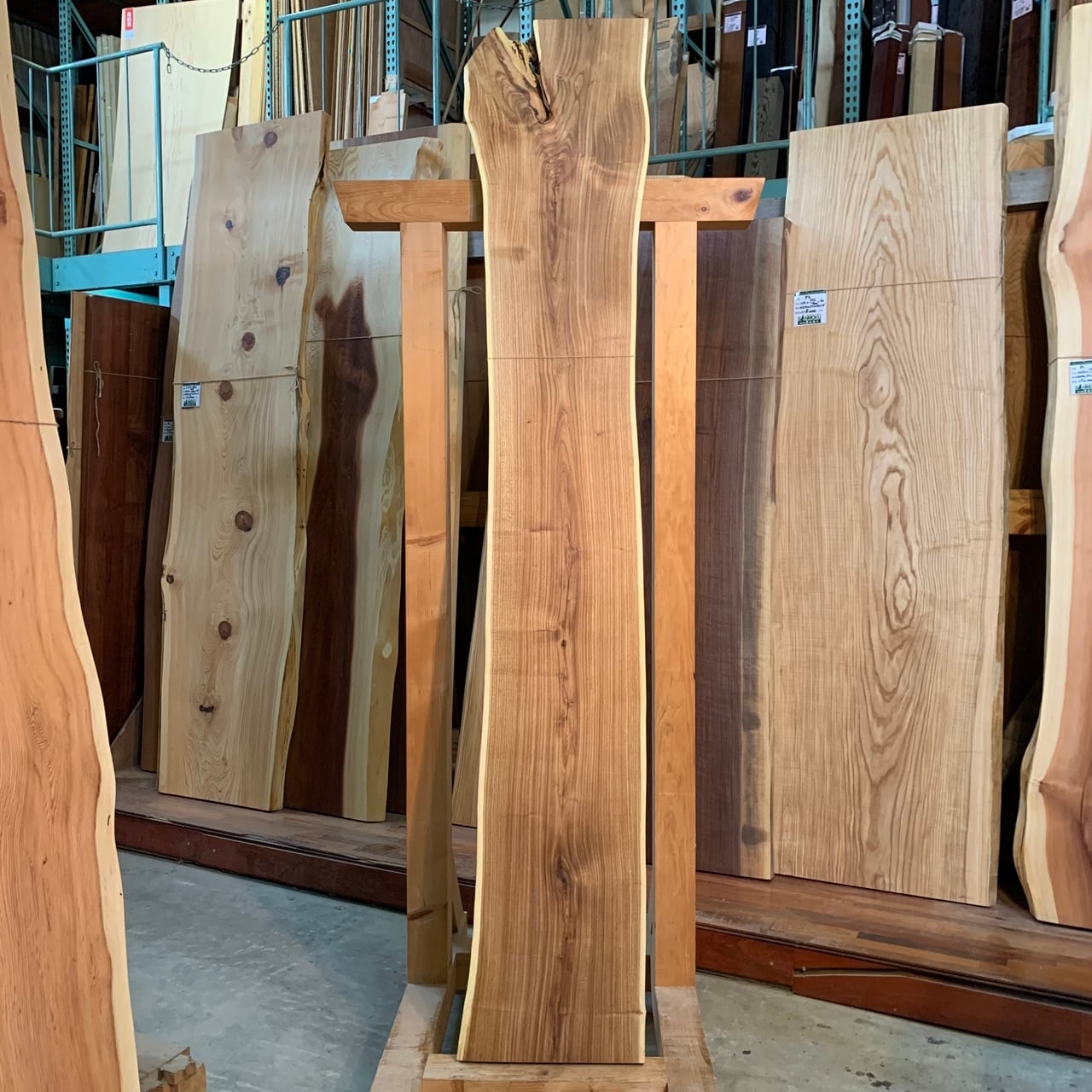 槐　一枚板　希少‼️ 槐 一枚板 希少‼️ 【公式通販】