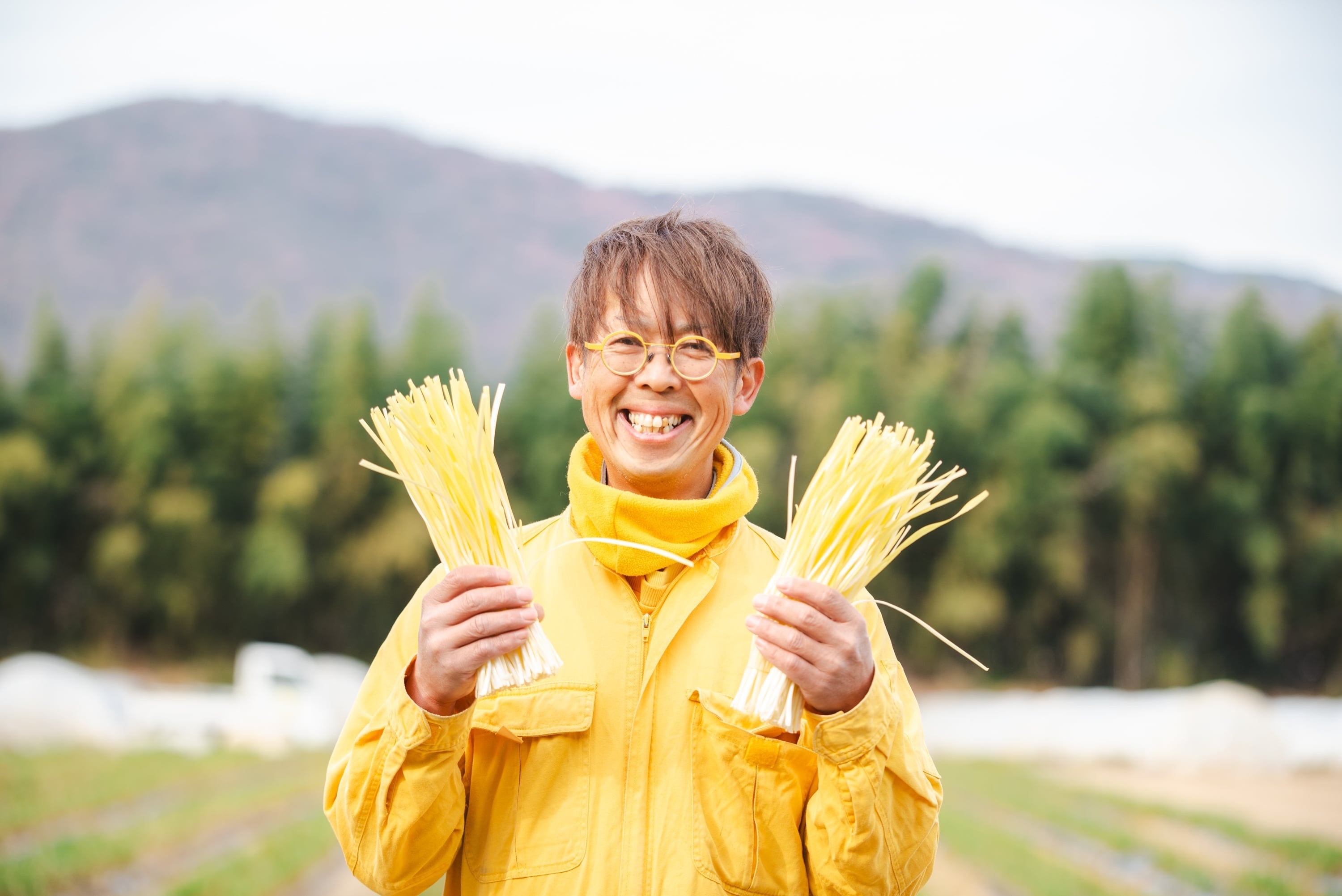 黄ニラ1箱（10束入り）500g［生育状況をみて順次発送させて頂きます