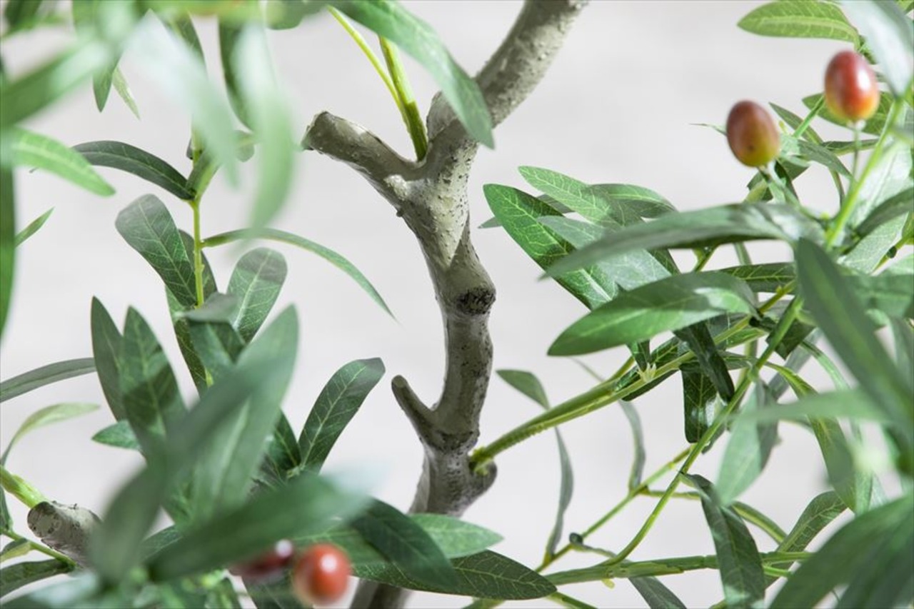【高さ125cm】Nature 光触媒人工観葉植物 オリーブ