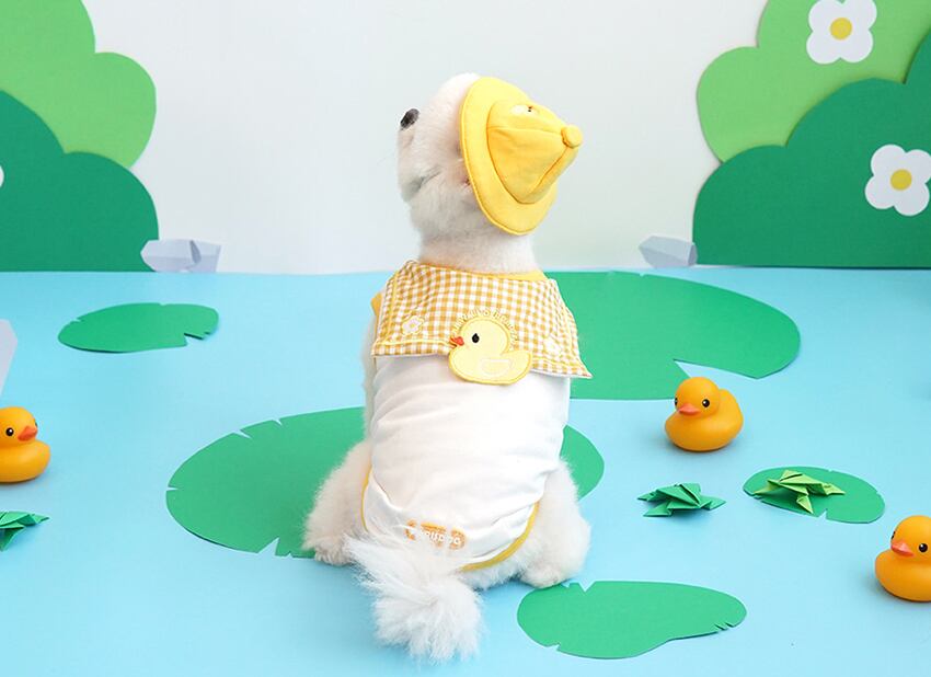 big duck t-set S ~ XL 2color  /  犬服 春夏 新作 ドッグウェア 帽子 セット Tシャツ お揃い 可愛い 幼稚園 トップス  犬の服 おしゃれ