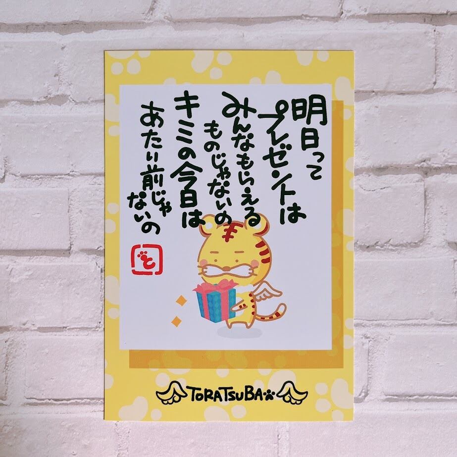 トロピカルプレゼント　ハガキ なんか元気が出るポストカード：明日ってプレゼントは | トラツバ屋