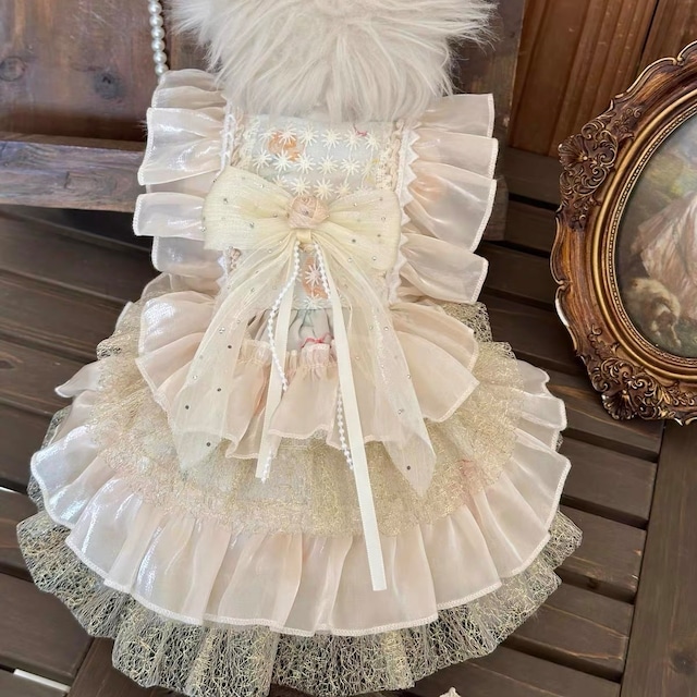 champagne belle dress