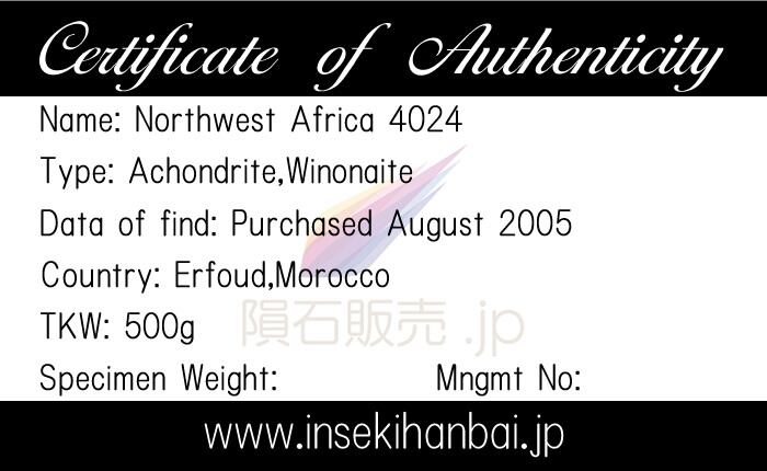 開運!　＊月の石＊　月から来たＮＷＡ11273隕石標本 スペシャルレア! ＊月の石＊ 月から来たNWA11273隕石標本