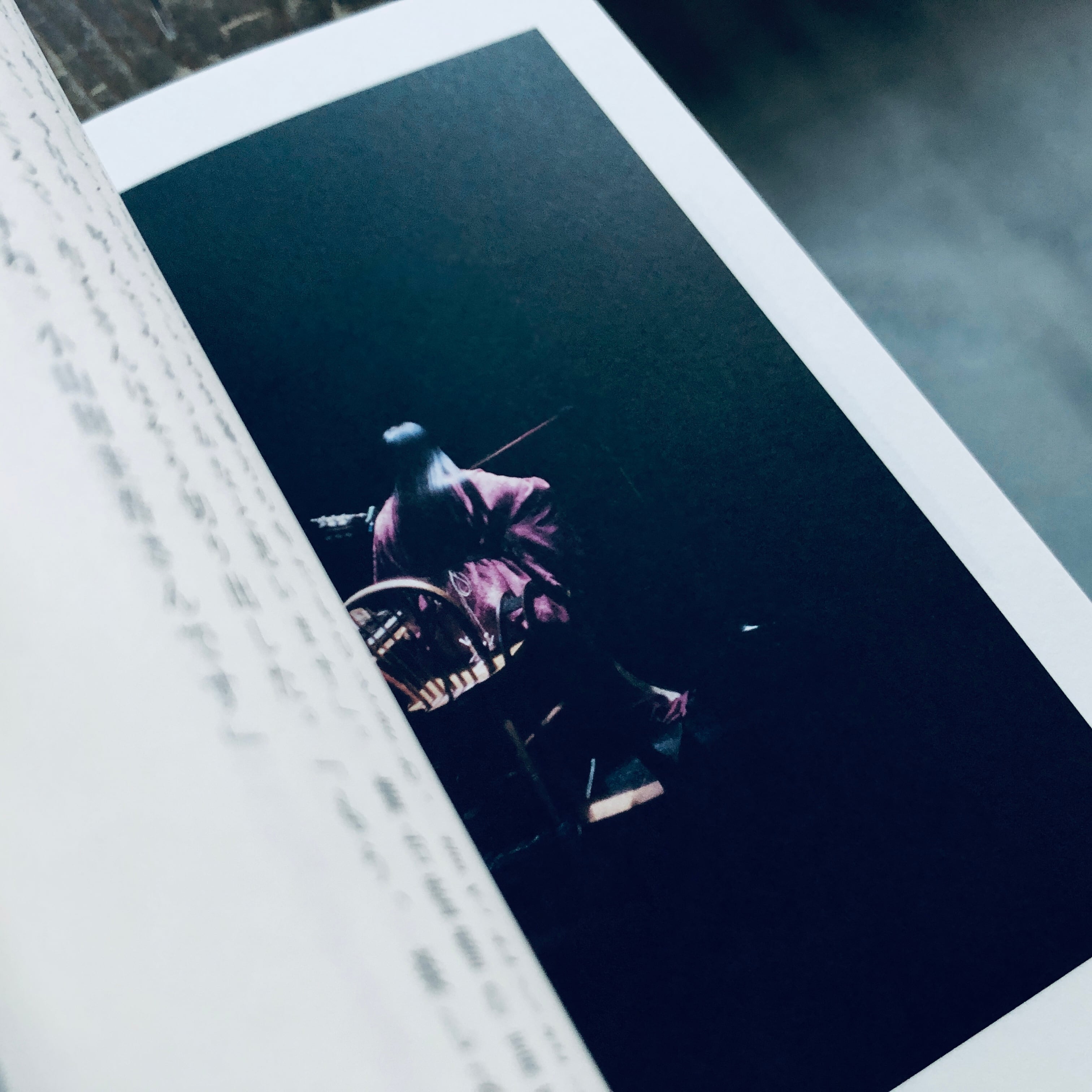 ICHIKO AOBA 15th Anniversary Book / 青葉市子 十五周年 | 本の轍