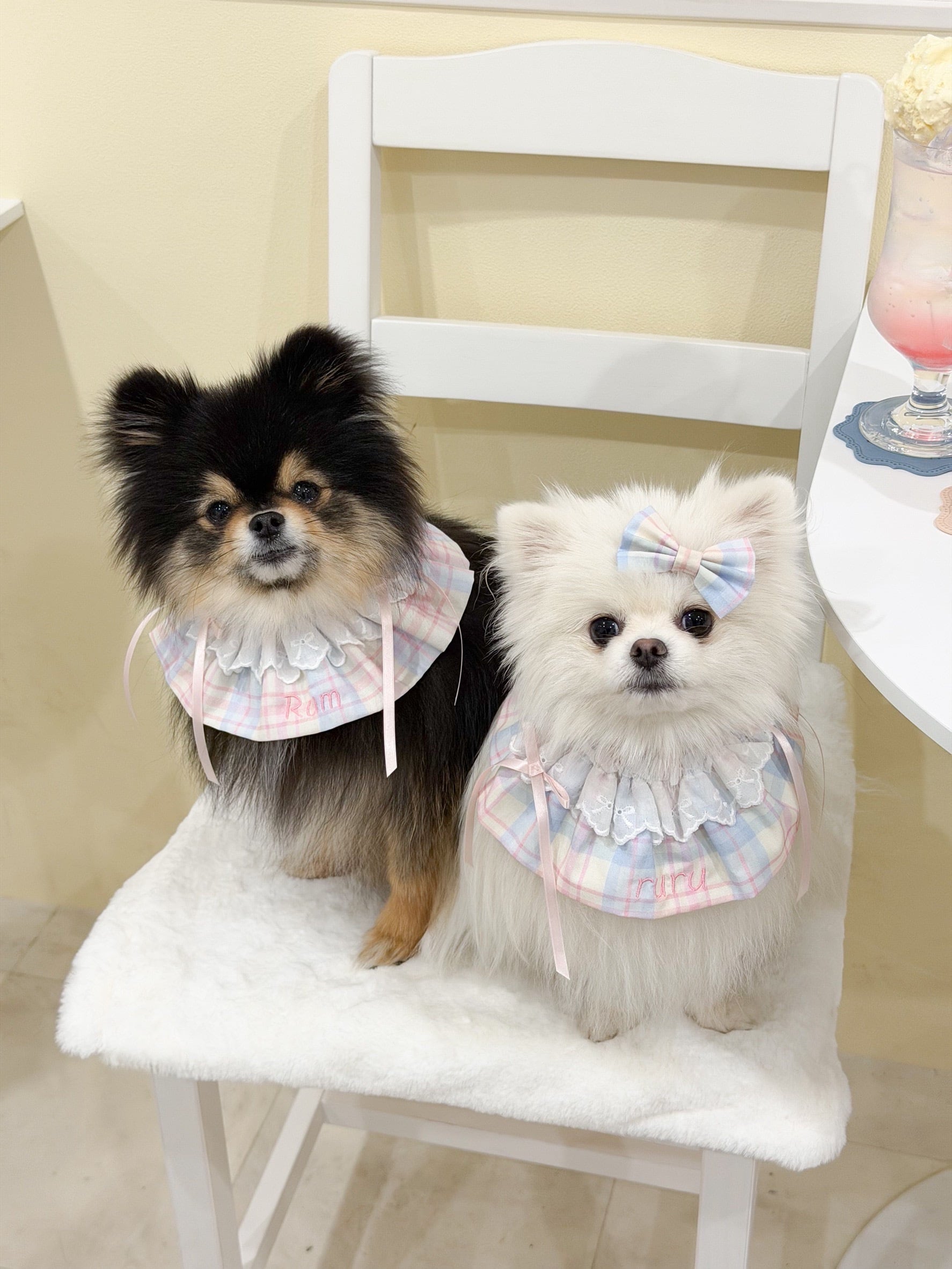 営業日14日以内配送】macaron check cape / 犬スタイ/犬ケープ/ ネーム